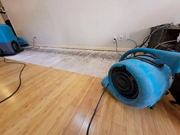 Professional Basement Flood Cleanup technician working in Algodones, NM